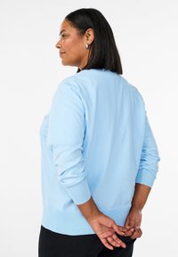 Svetloplavi džemper od mekanog tkanja, s okruglim izrezom, rebrastim manšetama i rubom. Stražnji dio je jednostavan s opuštenim krojem.