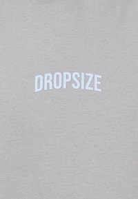 Lys grå bomulds t-shirt med buet "DROPSIZE" tekst i hvid print. Stofstrukturen er glat og let tekstureret.