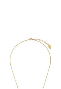 Collana in oro con un design a catena delicato, dotata di un estensore regolabile e di una piccola etichetta ovale vicino al gancio.
