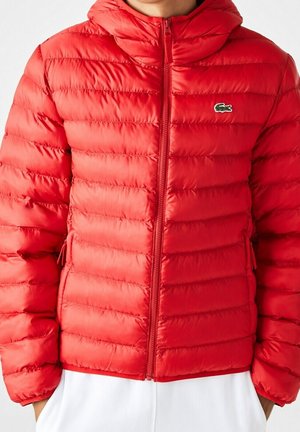 Rote gesteppte Steppjacke mit Kapuze, Frontreißverschluss, Seitentaschen und kleinem grünem Krokodil-Logo auf der Brust.