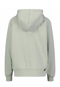 Light grey hoodie with a drawstring hood, ribbed cuffs, and hem. Features a kangaroo pocket and a small logo detail on the side.