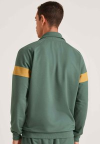 Groene sweater met een gele streep over de linkermouw, voorzien van een kraag en geribde boorden. Glad stoffen oppervlak, casual ontwerp.