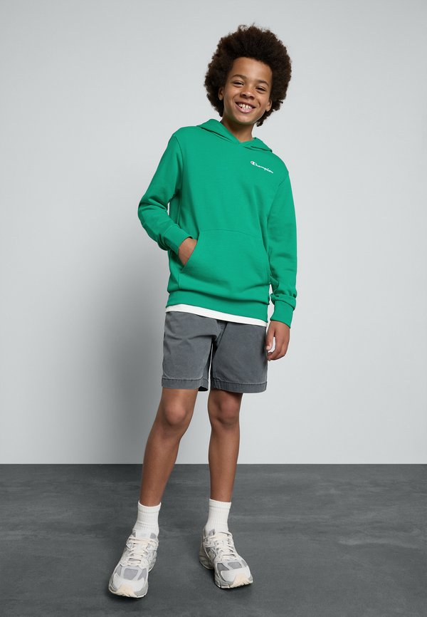 ICONS HOODIE WITH SMALL LOGO - Sweatshirt4