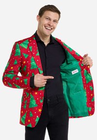 Rode jas met kerstboom- en sterpatroon, groene voering, zaklabels. Model wijst naar de binnenkant, draagt een zwart shirt en een broek.