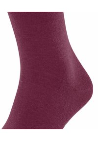 FALKE AIRPORT - Calzettoni - red