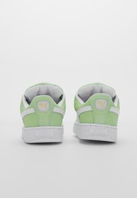 Puma UNISEX - Gördeszkacipők - pure green/white