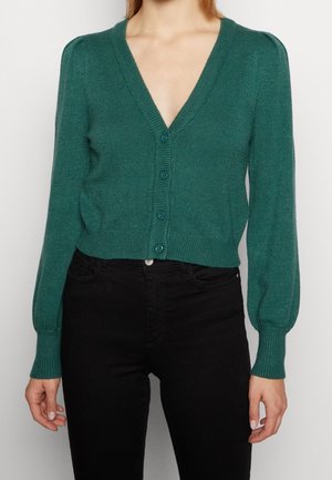 Vrouw draagt een teal V-hals gebreide cardigan met knopen, lange pofmouwen en zwarte hoge taille broek tegen een effen witte achtergrond.