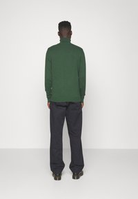 Jack & Jones JJEEMIL ROLL NECK - Strickpullover - mountain view