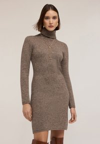 Strick-Poloshiftkleid in einem sanften Braunton, mit langen Ärmeln, taillierter Silhouette und gerippter Textur, kombiniert mit goldenen Halskettenakzenten.