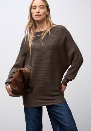 DOLMAN - Pullover - braun