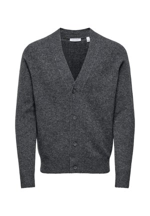 RAY KNOPFVERSCHLUSS - Cardigan - grau
