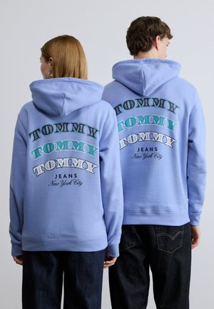 DOLLAR STACK HOODIE UNISEX - Pulover s kapuco - nordic iris