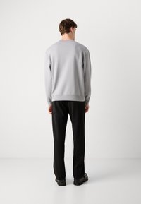 Sudadera gris claro de manga larga, cuello redondo y puños acanalados. Combinada con pantalones negros y calzado negro. Textura suave.