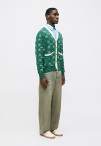 Cardigã de malha verde com detalhes e padrão brancos, sobre uma camisa azul. Combinado com jeans verdes largos e desbotados e sapatos bege.