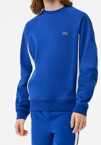 Niebieska bluza z okrągłym dekoltem, z rękawami raglanowymi, białymi panelami po bokach i zielonym haftowanym logo na piersi. Wykonana z miękkiego materiału.