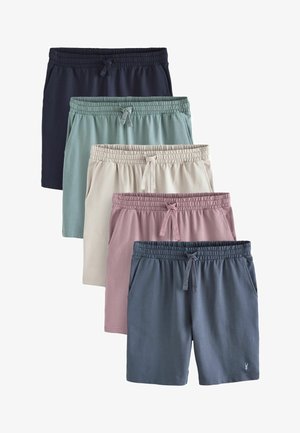 LIGHTWEIGHT 5 PACK - REGULAR FIT - Plaukimo šortai - green blue pink