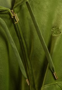 Green velour zip-up hoodie with a gold zipper pull, matching green drawstrings, and an embroidered logo on the chest. Soft texture.