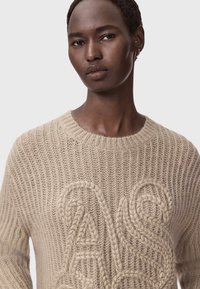 Pulover tricotat într-o nuanță de bej deschis, cu un design texturat tip coaste și detalii proeminente cu modele împletite, având guler rotund și mâneci lungi.