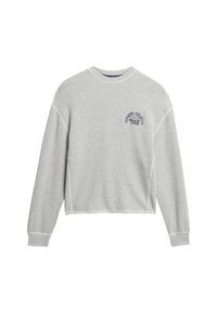 Sudadera corta gris claro con mangas largas, cuello acanalado y texto impreso en azul marino en el lado izquierdo del pecho. Material de algodón suave, diseño casual.