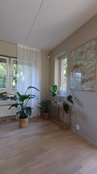 Heller Raum mit Holzboden, Topfpflanzen, dünnen weißen Vorhängen und einem gerahmten botanischen Kunstwerk an hellgrauen Wänden.