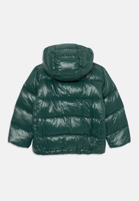 Groene pufferjack, glanzende afwerking, gewatteerd ontwerp met horizontale secties, aangehechte capuchon, elastische manchetten en zoom. Achteraanzicht weergegeven.