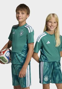 Uniforme de futebol verde com riscas brancas, apresentando um padrão texturizado. Inclui calções e camisolas com logótipos e duas estrelas. Bola de futebol na mão.