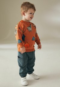 Next LONG SLEEVE SET - REGULAR FIT - Gornji dio trenirke - orange safari