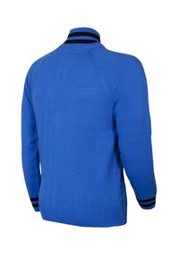 Blauwe trui met een hoge kraag, voorzien van zwart-witte gestreepte accenten. Geribbelde manchetten en zoom, gladde textuur en een getailleerd ontwerp.