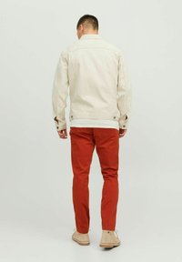 Jack & Jones JPSTMARCO NOOS - Chinos - picante