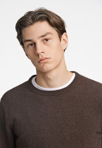 Brauner gestrickter Pullover mit Rundhalsausschnitt, kombiniert mit einem weißen T-Shirt. Verfügt über ein dezentes Logo auf der Brust und eine glatte Textur.