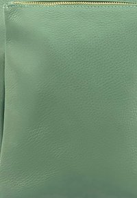 Groene leren tas, gladde textuur, met een gouden ritssluiting aan de bovenkant. Minimalistisch ontwerp, rechthoekige vorm, zonder verdere patronen.