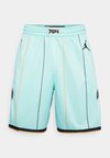 NBA CITY EDITION CHARLOTTE HORNETS SHORTS - Klubruházat - mint/black