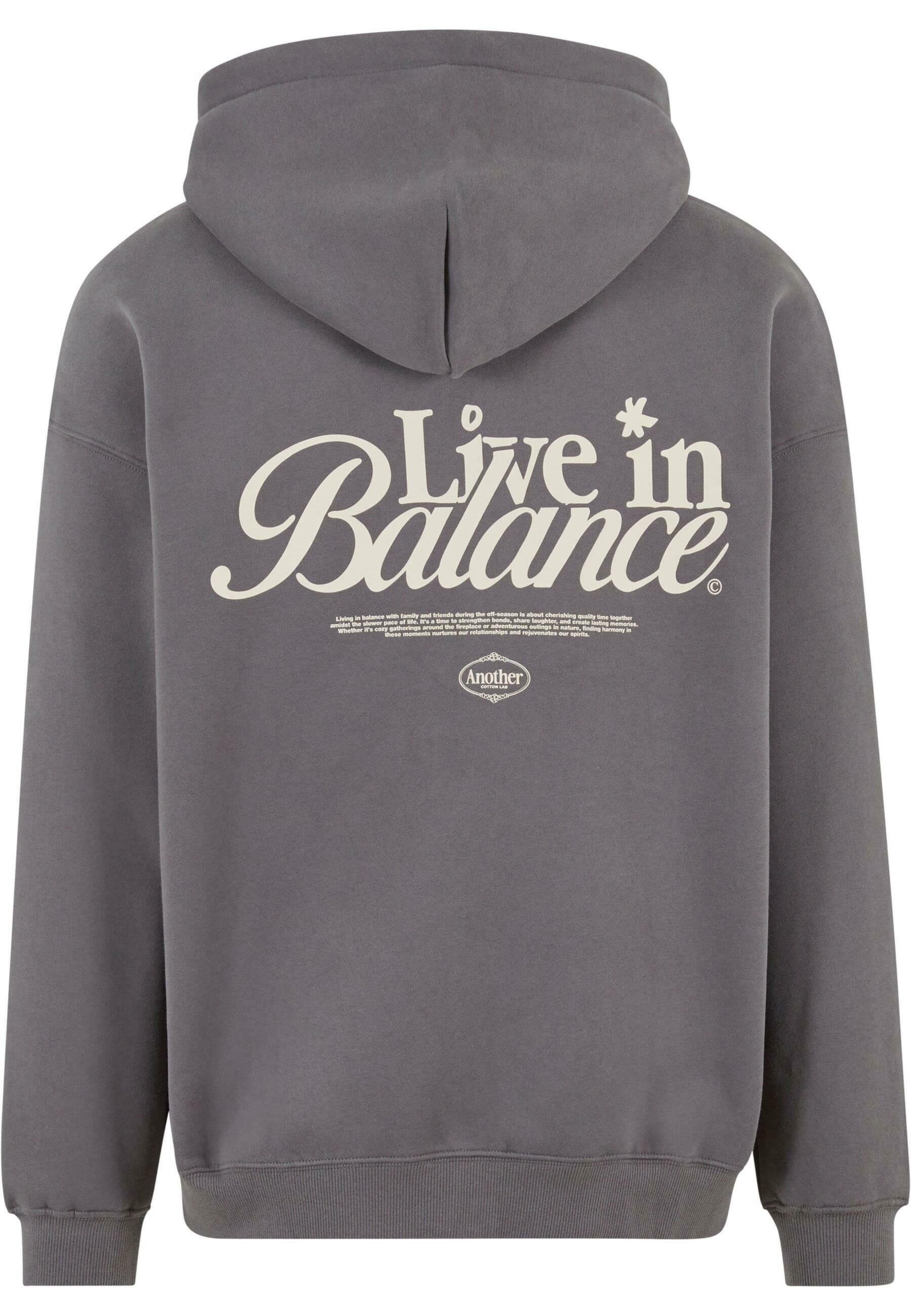 Another Cotton Lab Zip-up sweatshirt - grey - Zalando