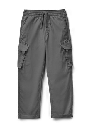 REGULAR FIT  - Cargobroek - grey