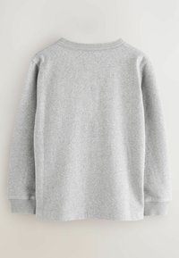 Grauer langärmeliger Sweatshirt aus weichem Material; mit Rundhalsausschnitt und gerippten Bündchen. Schlichtes Design ohne sichtbare Muster oder Akzente.