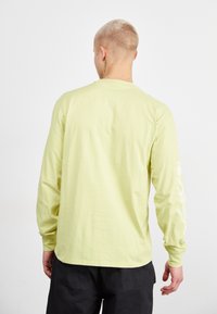 Dickies TIMBERVILLE TEE - Hosszú ujjú felső - pale green