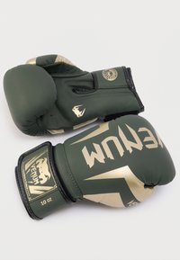 Πράσινα και χρυσά γάντια πυγμαχίας από συνθετικό υλικό, με επενδυμένο σχεδιασμό, λογότυπα και ετικέτα βάρους 10 ουγγιών.