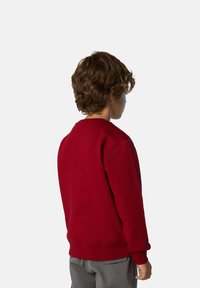 Felpa rossa con colletto tondo, maniche lunghe, polsini e orlo a coste. La vista posteriore mostra una texture liscia e una minimal branding sulla manica.