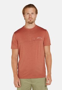 icebreaker Camiseta estampada - cedar wood