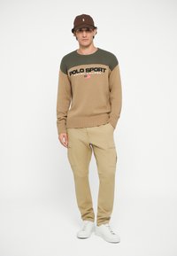 Sweater de malha castanho com detalhes verdes e texto "POLO SPORT", combinado com calças cargo bege e ténis brancos, em fundo plain.