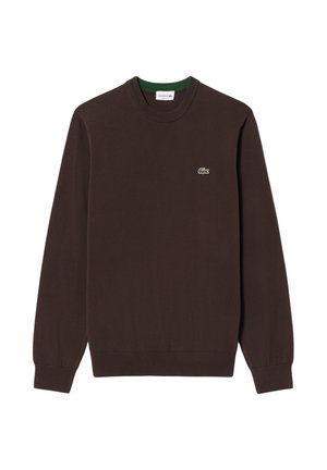 Maglione marrone scuro a maniche lunghe con scollo rotondo, piccolo logo di coccodrillo verde sul petto a sinistra e polsini e orlo a coste.