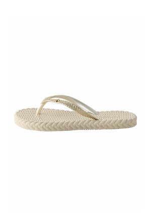 REGULAR FIT - FLIP FLOPS  - Bade-Zehentrenner - neutral