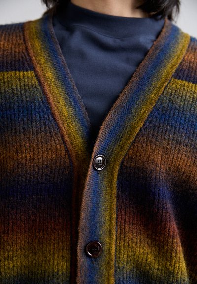 NN.07 VIGGO CARDIGAN - Chaqueta de punto - multi shades