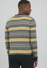 Pulover tricotat cu un design patterned în galben, negru, verde și alb. Manșete și tiv cu nervuri, cu guler rotund. Vedere din spate.