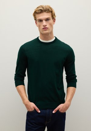 REGULAR FIT CREW NECK   - Maglione - dark green