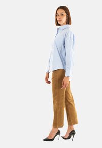 Camicia button-up a righe blu e bianche, abbinata a pantaloni in velluto a coste marroni e tacchi neri alti. La camicia ha un colletto e una singola tasca.