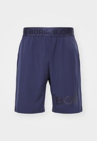 SHORTS - Spordišortsid - odyssey gray