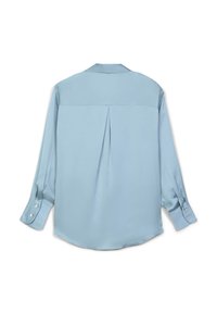 Blusa azzurro chiaro con colletto e maniche lunghe, dotata di una piega sul retro e polsini con bottoni. Texture liscia e design elegante.