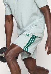 Απαλά γαλάζια αθλητικά σορτς με τρεις πράσινες ρίγες στο πλάι και ταιριαστό γαλάζιο μπλουζάκι. Τα σορτς έχουν άνετη εφαρμογή.