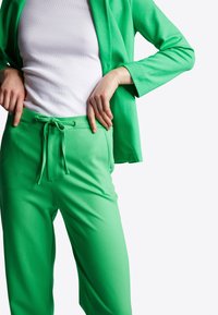 Rich & Royal Pantaloni - frog green